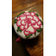 Pink Picotee Begonia Sewing Clamp